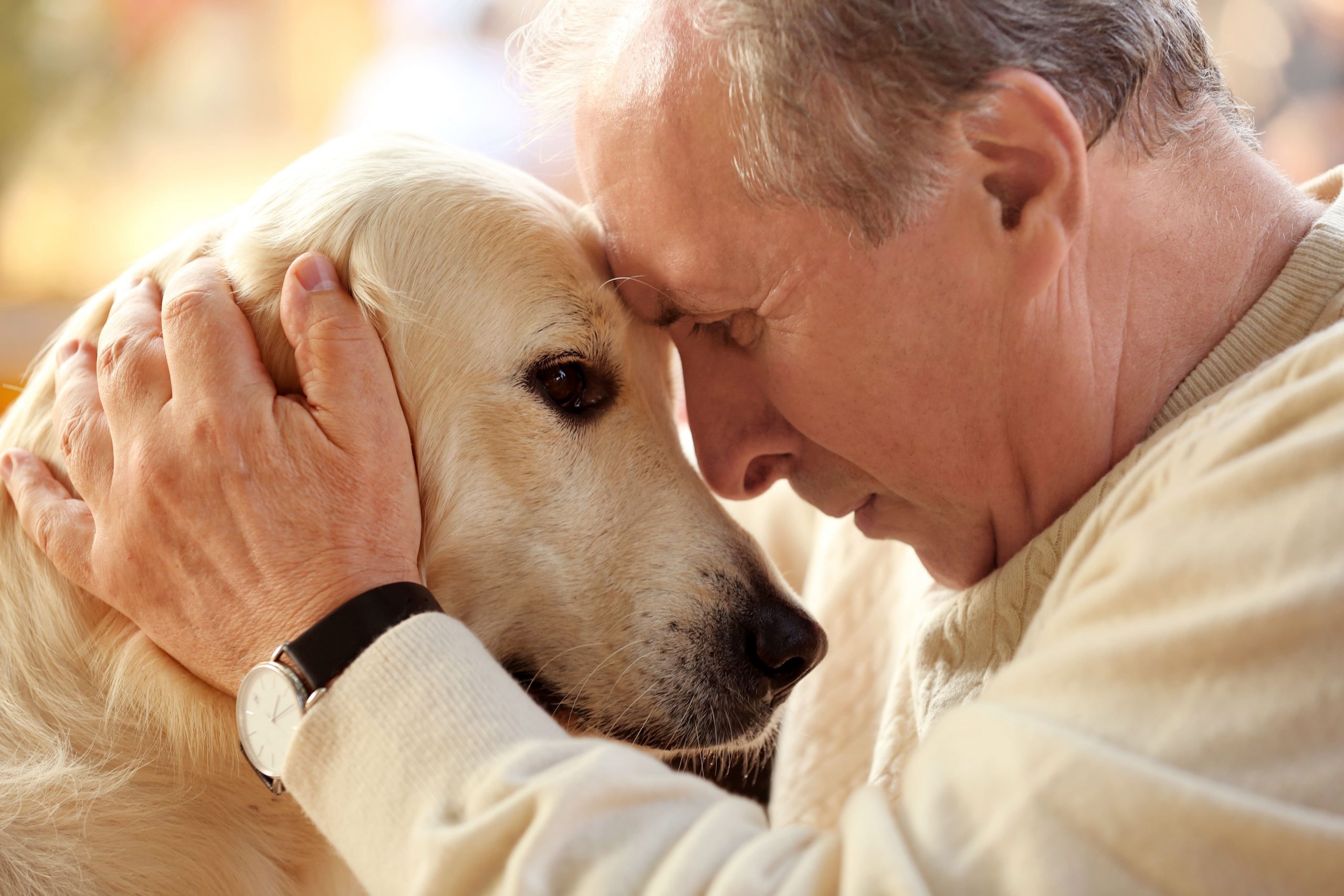 Get a jump-start on proactive pet care